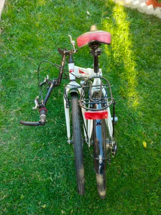 Bicicleta Paseo Plegable 24