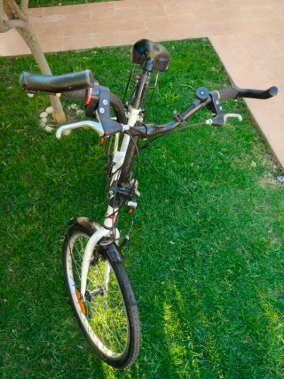 Bicicleta Paseo Plegable 24