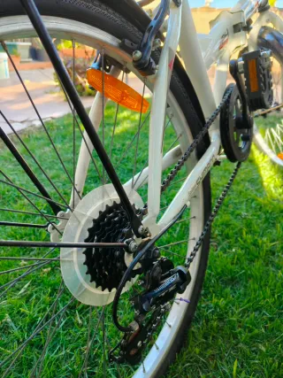 Bicicleta Paseo Plegable 24