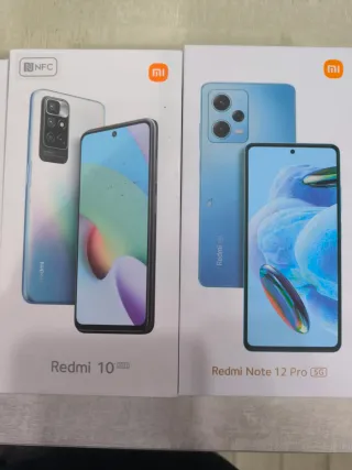 Lotto 2 Xiaomi: Redmi 10 2022 & Note 12 Pro 5G Blu