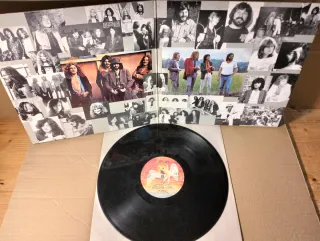 Disco vinile LP 33 giri - Led Zeppelin