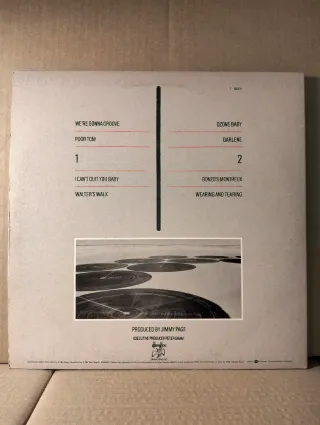 Disco vinile LP 33 giri - Led Zeppelin