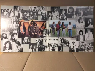 Disco vinile LP 33 giri - Led Zeppelin