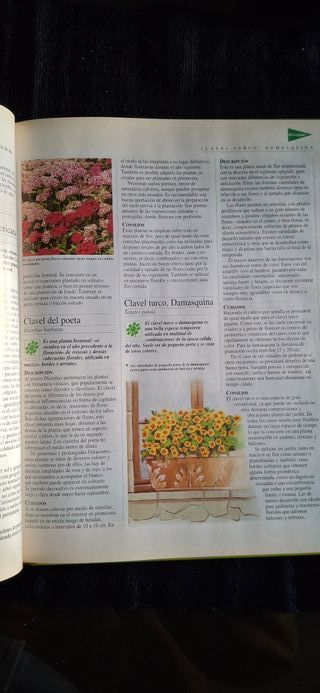 El Libro de Oro de las Plantas y Los Jardines