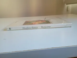 Masakazu Katsura Ilustraciones