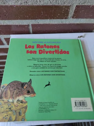 RATONES SON DIVERTIDOS (DESCUBRE NATURALEZA)