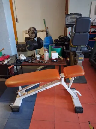 Banco de musculación articulado