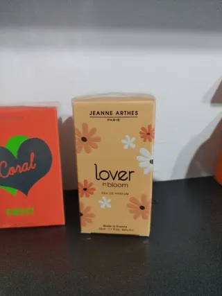 Lote 3 colonias Jeanne Arthes