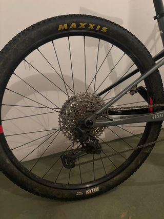 Bicicleta mtb 29 - MMR Kenta 2024 - talla S