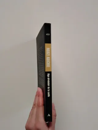 3x2 Algo alrededor de tu cuello - Chimamanda Ngozi