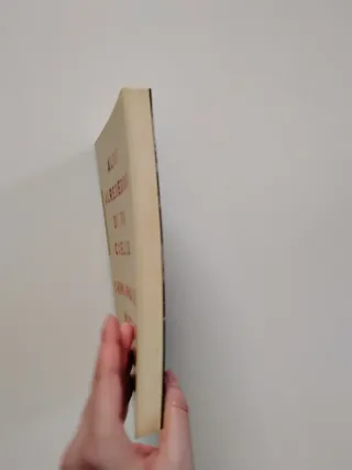 3x2 Algo alrededor de tu cuello - Chimamanda Ngozi