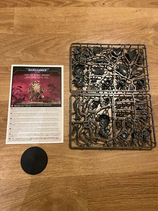 Death Guard Drones Fétidos Warhammer