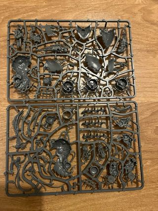 Death Guard Drones Fétidos Warhammer