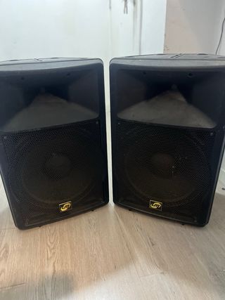 Altavoces 300W 15”