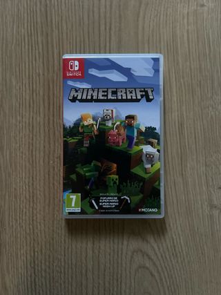 Minecraft Nintendo Switch