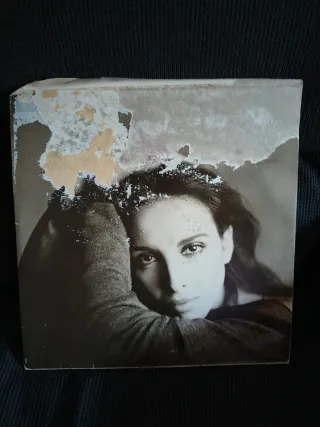 Vinilo Doble Víctor Manuel y Ana Belén