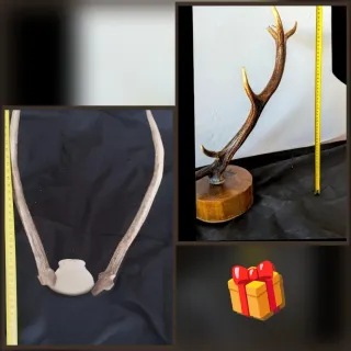 Decoración rústica