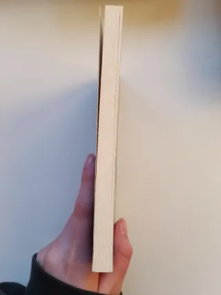 Crónicas de la Torre II. La maldición del Maest...