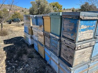 Colmenas con núcleo en palets