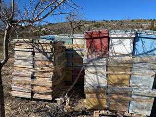 Colmenas con núcleo en palets