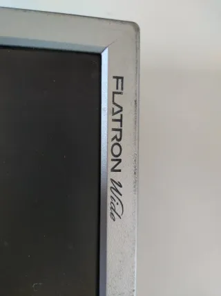 Monitor LG Flatron M22