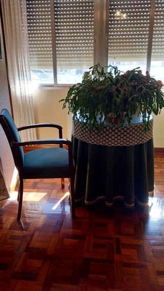 Mesa camilla redonda y silla tapizada