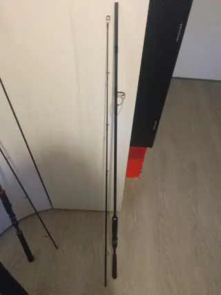 Caña de pescar Daiwa Crosscast Seabas