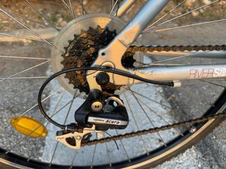 Bicicleta Paseo Plata Sillín Blanco