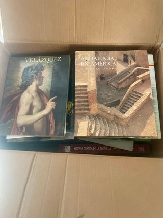 Colección libros museos