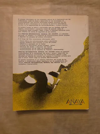 Piratas Informaticos (Spanish Edition)