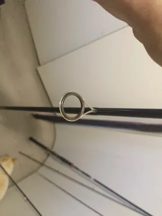 Daiwa Legalis Seabas Caña de Pescar