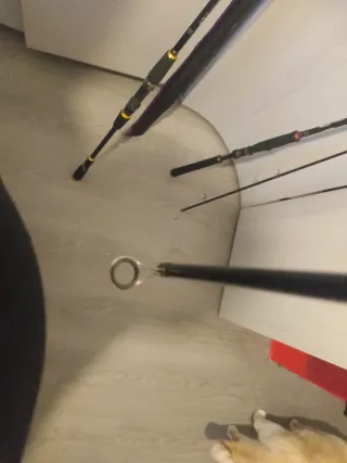 Daiwa Legalis Seabas Caña de Pescar