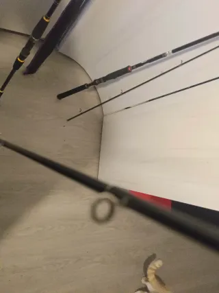 Daiwa Legalis Seabas Caña de Pescar