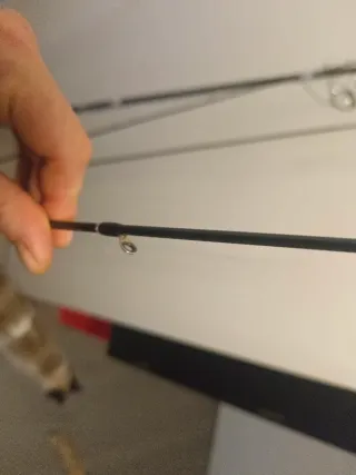 Daiwa Legalis Seabas Caña de Pescar