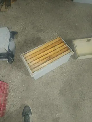 Caja colmena 6 cuadros HDF pintada lanstrhot,