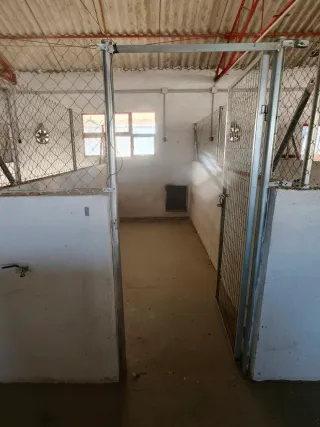 Puesto de trabajo en hotel y refugio de perros