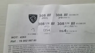 Juego 2 deflectores Peugeot 308 (2021)