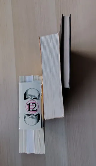 Lote 6 libros prehistoria