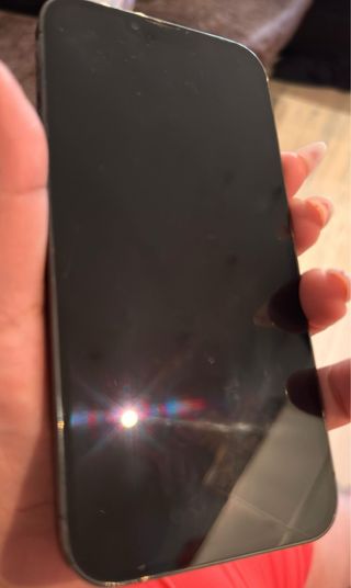 iPhone 13 Pro Max Nero/Grigio