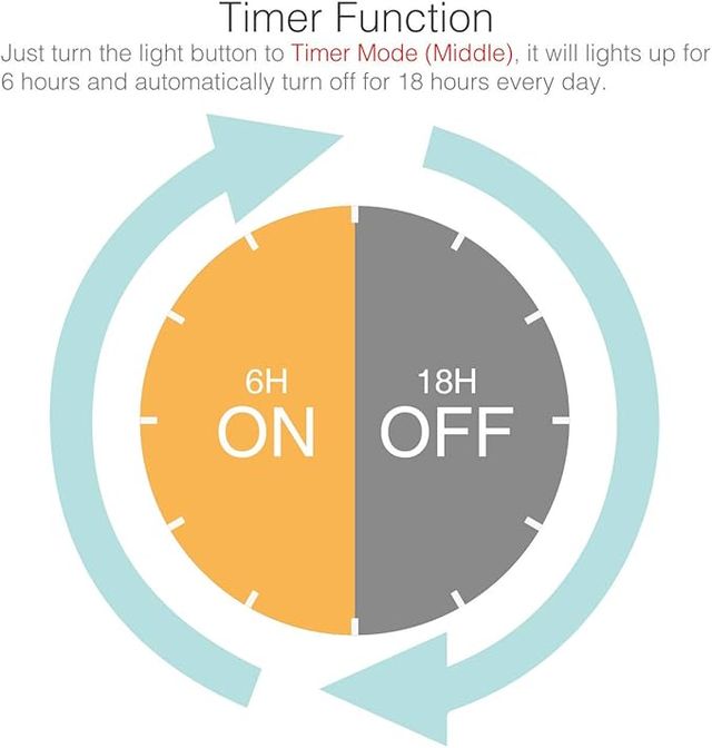 Luci LED Litogo 10m con Timer