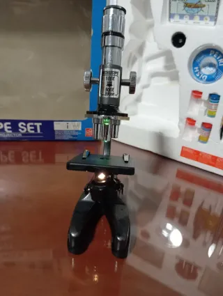 Microscopio Infantil Edu-Toys 100x-900x Zoom