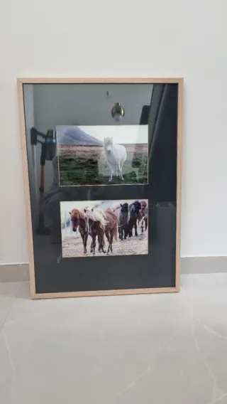 Marco con 2 fotos de caballos