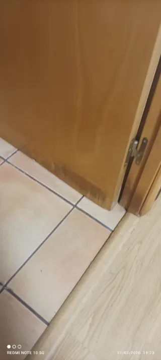 Puerta de interior de madera