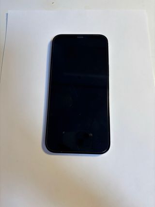 iPhone 12 Pro Max Blu