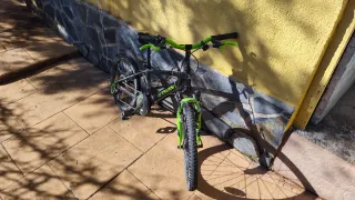 Bicicleta infantil negra y verde