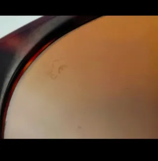 Occhiali Persol Ratti 649 Tartaruga