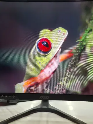 Monitor MSI Gaming 24 Curvo Full HD 75Hz