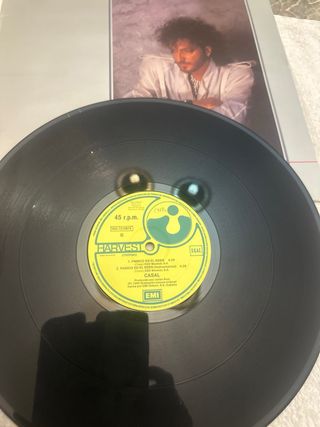 Vinilo Tino Casal Panico