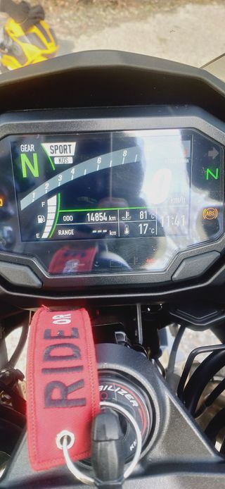 Kawasaki Ninja 1000SX (Performance Tourer)