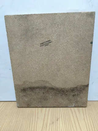 Pintura Naturaleza Aves